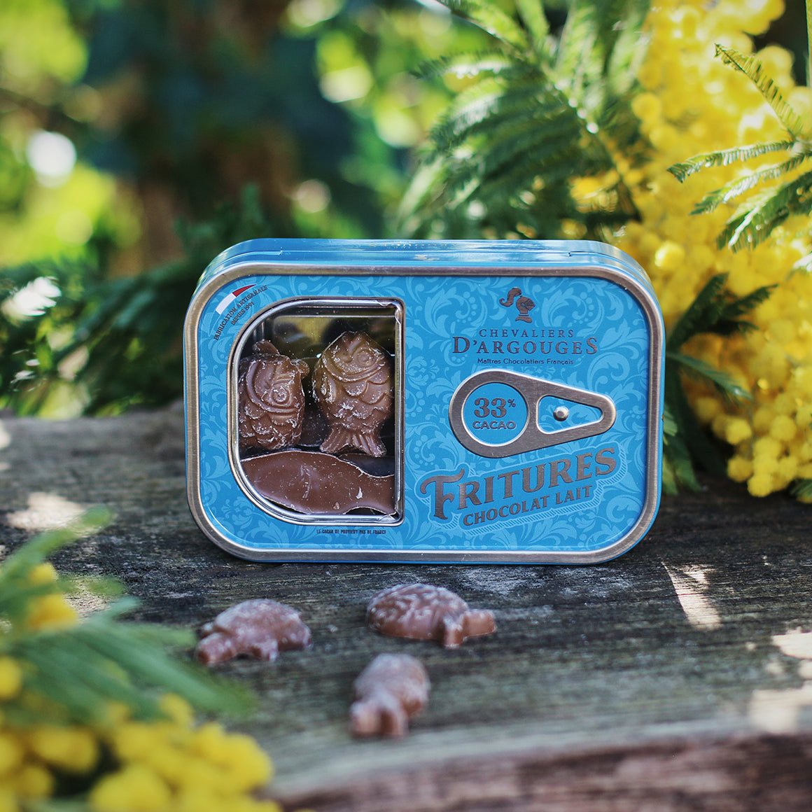 Sardine box with milk chocolate fish (fritures) 90g - Chevaliers d’Argouges