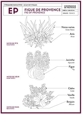 Refill Liquid Soap Compagnie de Provence Fig of Provence 33.8 fl. oz