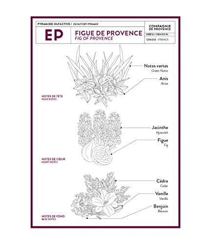 Hand Cream compagnie de Provence - Fig of Provence