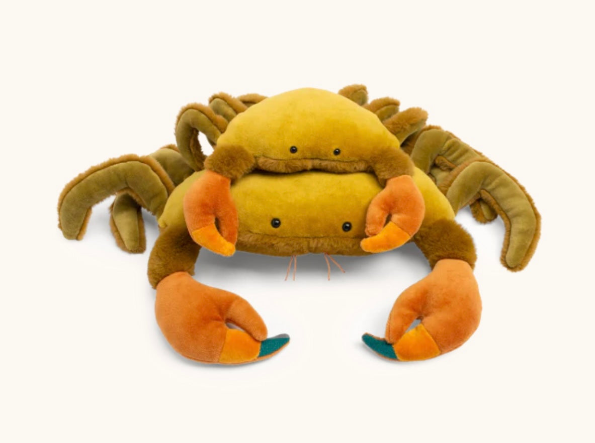 Medium Crab - All around the world