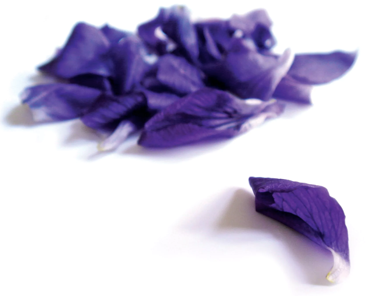 Oval Tin Viole Medieval Tin Anis de Flavigny