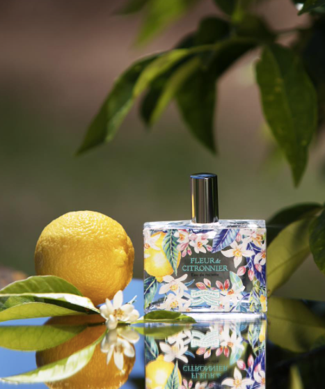 Fleur de Citronnier Eau de Toilette Fragrance 50ml - Fragonard