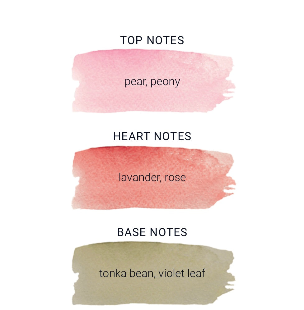 Rose Lavander (Rose Lavande) Eau de Toilette Fragrance Le Jardin de Fragonard 50ml - Fragonard