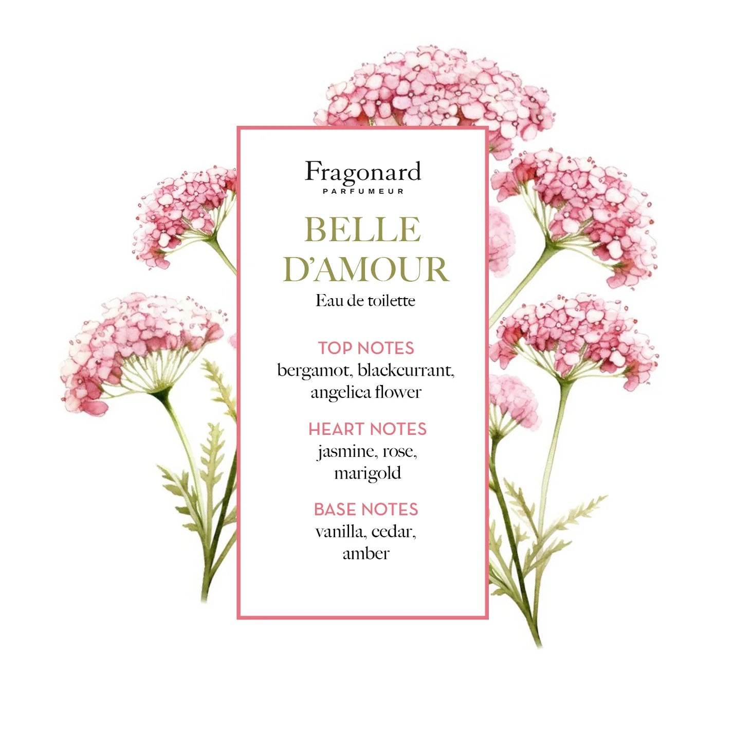 Belle d’Amour Soap and Dish Soap Angelica - Fragonard