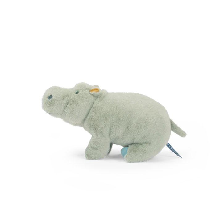 Large hippopotamus - All around the world