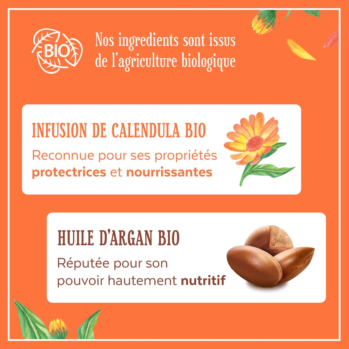 Shampoo w/ calendula flower & argent oil organic - Le Petit Marseillais 25cl (18.5 fl oz)
