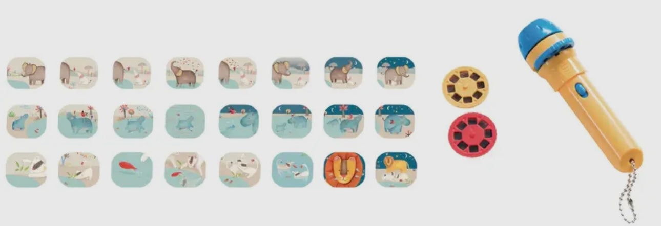 Display box with 18 assorted storybook torches