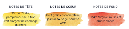 Fleur de Citronnier Lemon Tree Flower Reed Room Fragrance diffuser 200ml - Fragonard