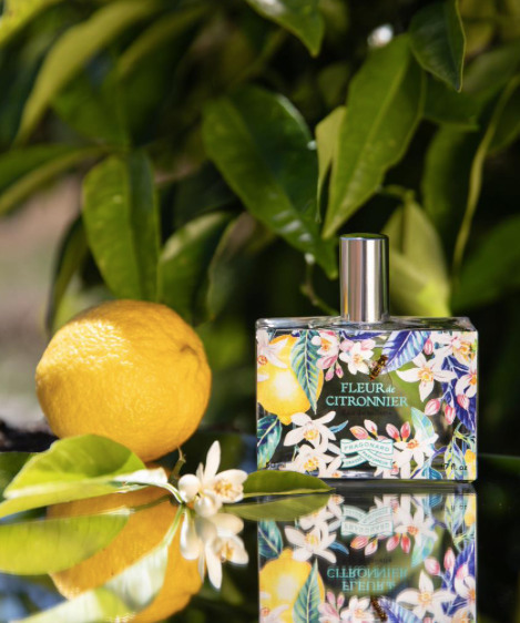 Fleur de Citronnier Eau de Toilette Fragrance 50ml - Fragonard