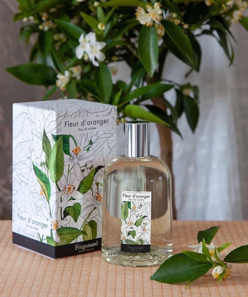 Fleur d’Oranger (Orange Blossom) Eau de Toilette Fragrance 100ml - Fragonard