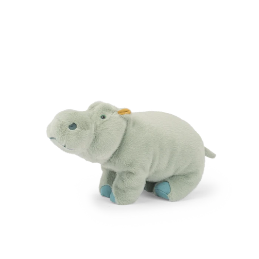 Large hippopotamus  - All around the world