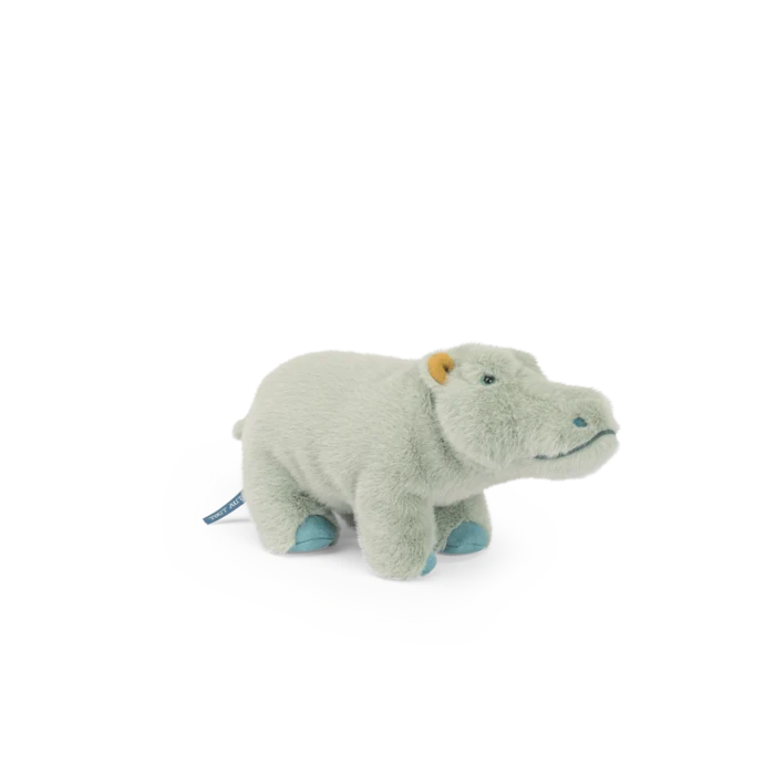 Small hippopotamus  - All around the world