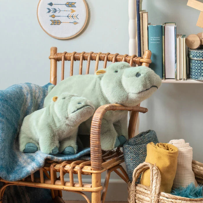 Small hippopotamus  - All around the world