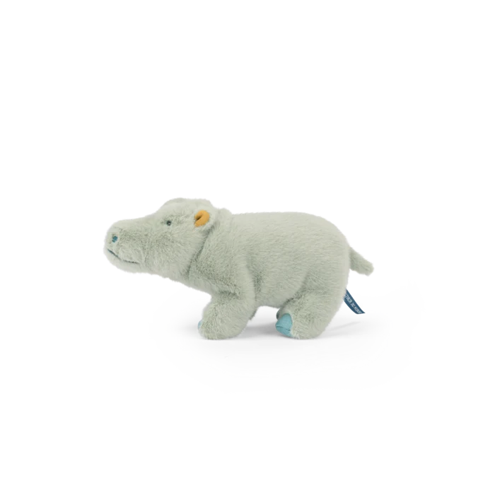 Small hippopotamus  - All around the world