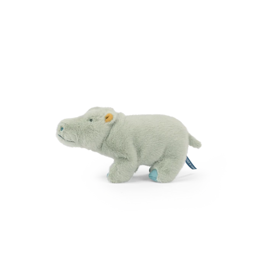 Small hippopotamus  - All around the world