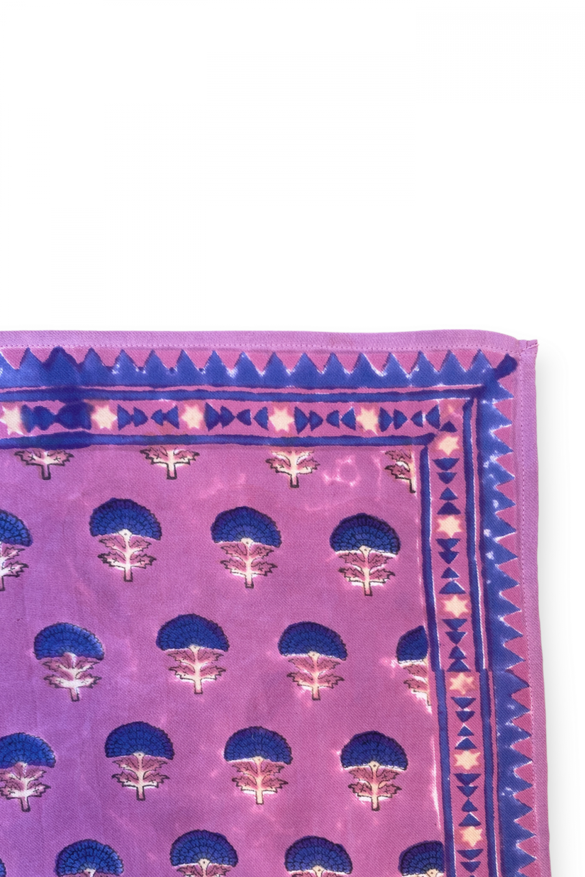 Small Scarf Manika - Florets Fushia