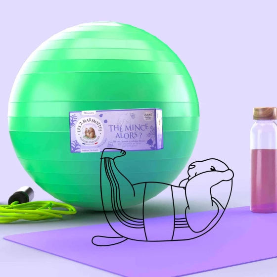 LES 2 MARMOTTES THÉ MINCE SO? 100% organic green tea